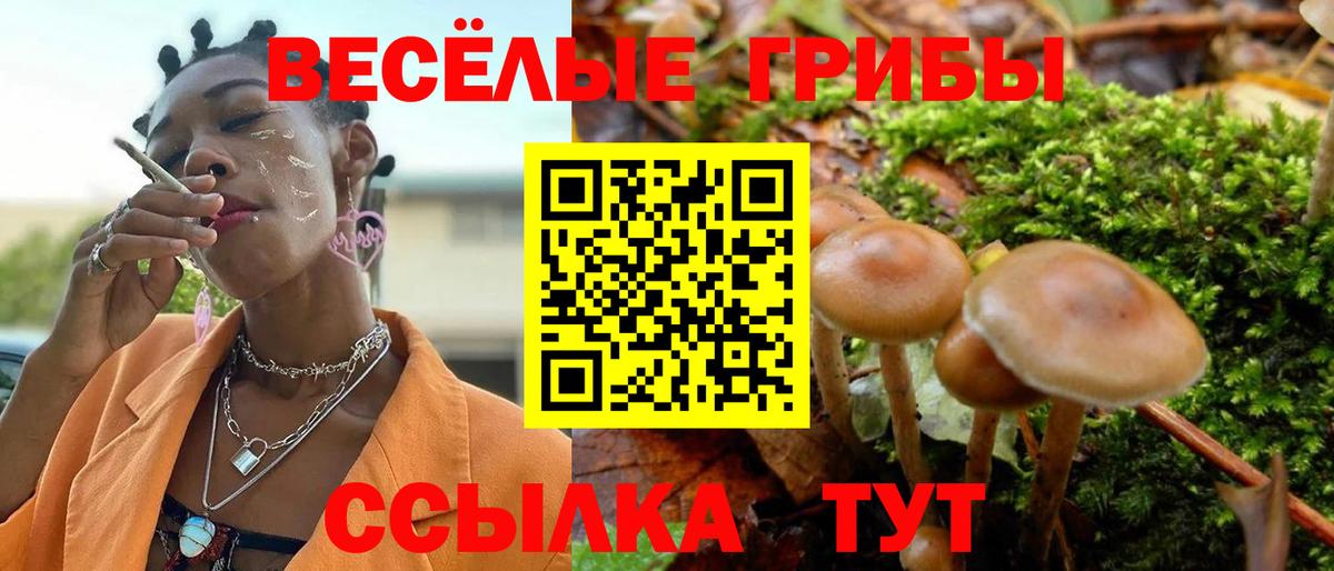 где можно купить наркотик  Псилоцибиновые грибы мицелий  Барабинск  Вход с VPN  Галлюциногенные грибы ЛСД 